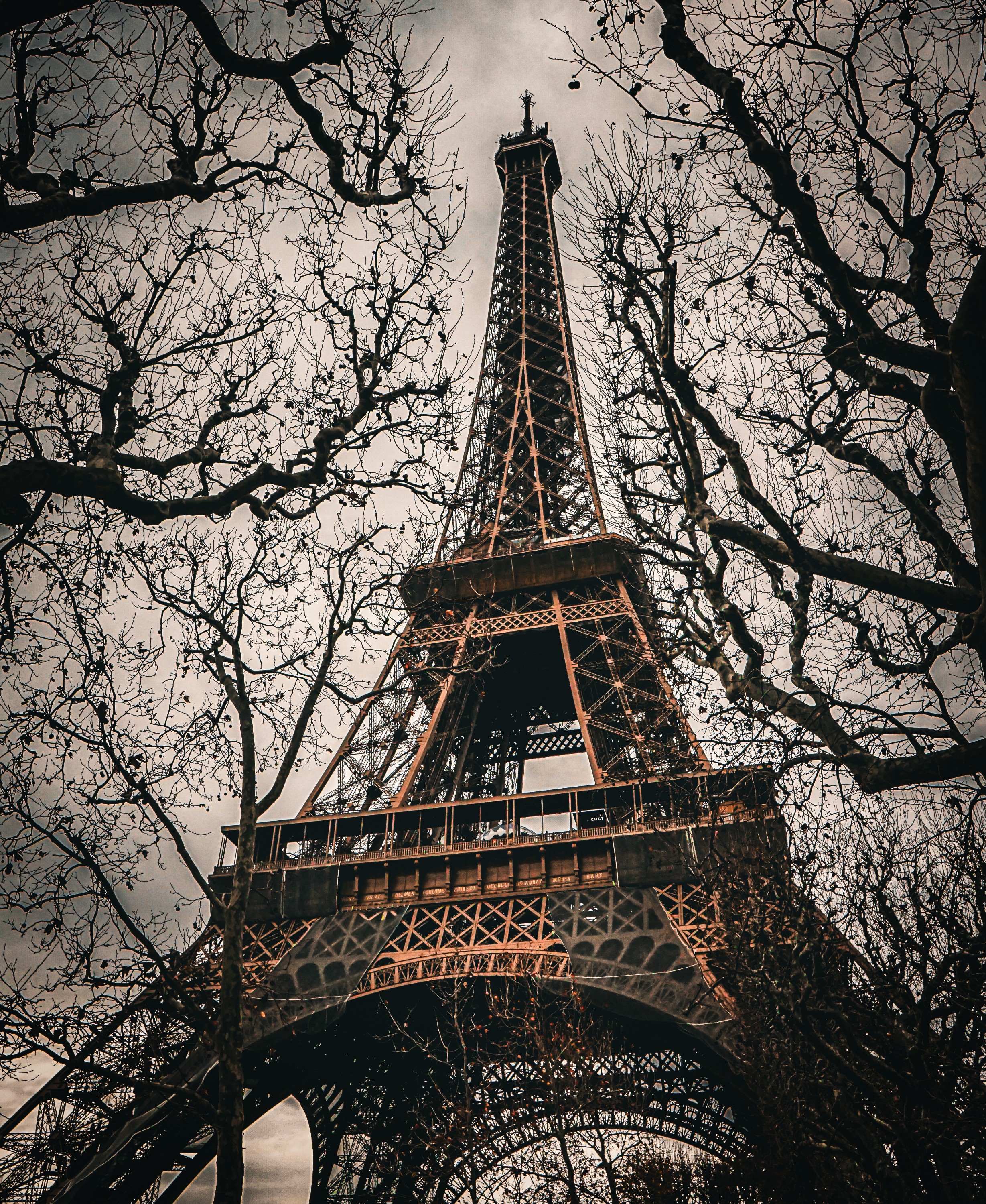 Iron and Branches — Somewhere along the way